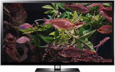 fish-tank-screensaver- fish tank screensaver