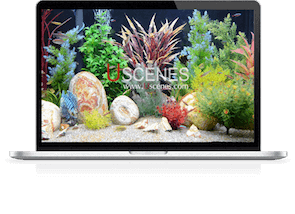 Mac and Windows laptop screensavers copy 4k aquarium for laptops and pcs