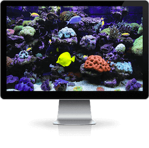 fish background for TV aquarium screensaver on iMac