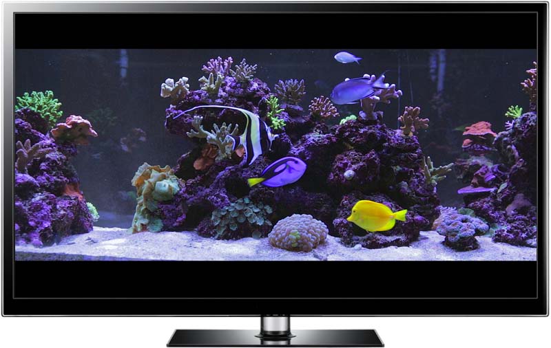 marine aquarium screensaver in widescreen HD widescreen marine