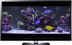 marine aquarium screensaver windows 10