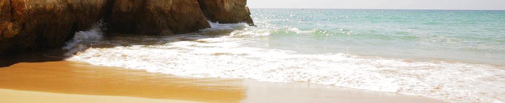 HD summer screensavers