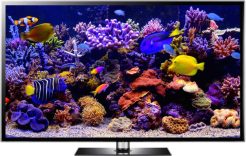 4K aquarium TV screen saver download