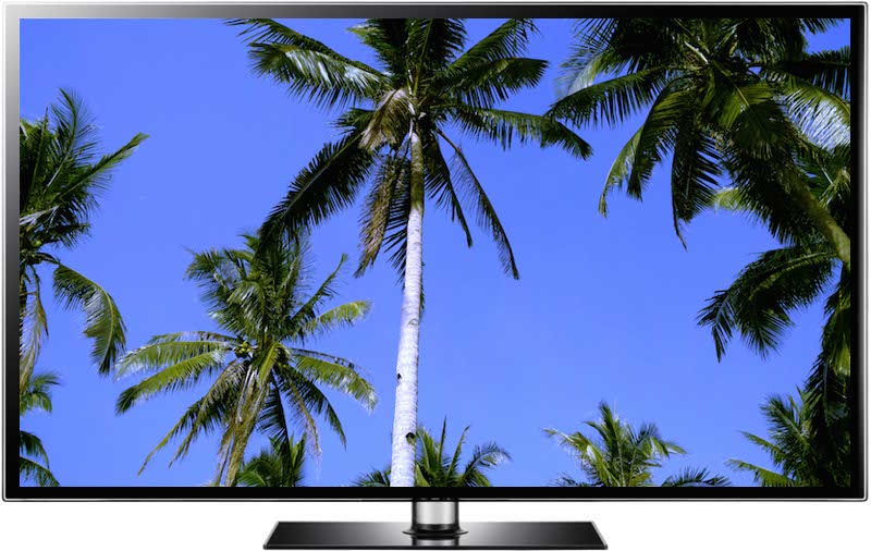 Palm Trees Screensaver Palm Trees Screensaver