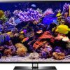 4K aquarium video and aquarium screensaver downloads. By Uscenes ambient loops.