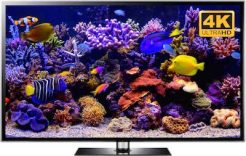 4K aquarium video and aquarium screensaver downloads. By Uscenes ambient loops.
