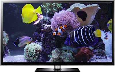 finding-nemo-screenaver-with-clownfish nemo aquarium video