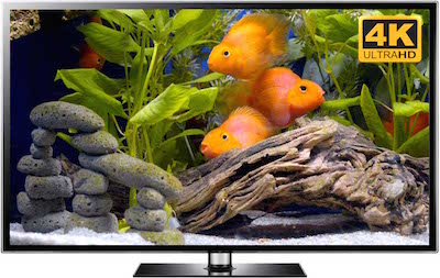 Dentist Aquarium Video Dentist Aquarium Video