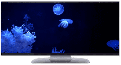 Ultrawide JELLYFISH SCREENSAVER Ultrawide JELLYFISH SCREENSAVER ULTRA-WIDE VIDEO 1440P