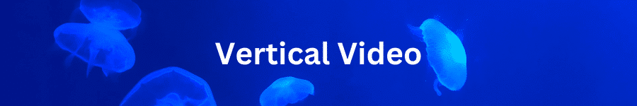 vertical video